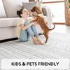 5x7 Area Rugs for Living Room, Bedroom, Playroom, Dining Room, Office - Machine Washable, Neutral Grey, Soft Boho Carpet view 4