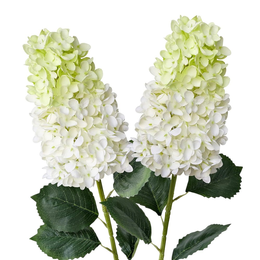 JINWOE White/Light Green Silk Hydrangea Artificial Flowers,2Pcs 31.5" Large Lifelike Flowers Faux Panicled Hydrangea,Long Stems Artificial Hydrangeas for Tall Vase Centerpieces Tables Bouquets Home