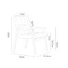 RUANLOV Modern Upholstered Dining Room Chairs, Solid Wood Chair with Backrest, Designer Dining Chair, with Armrests, Mortise and Tenon, Microfiber Leather, Casual, Open Back Home DCor (A) view 2