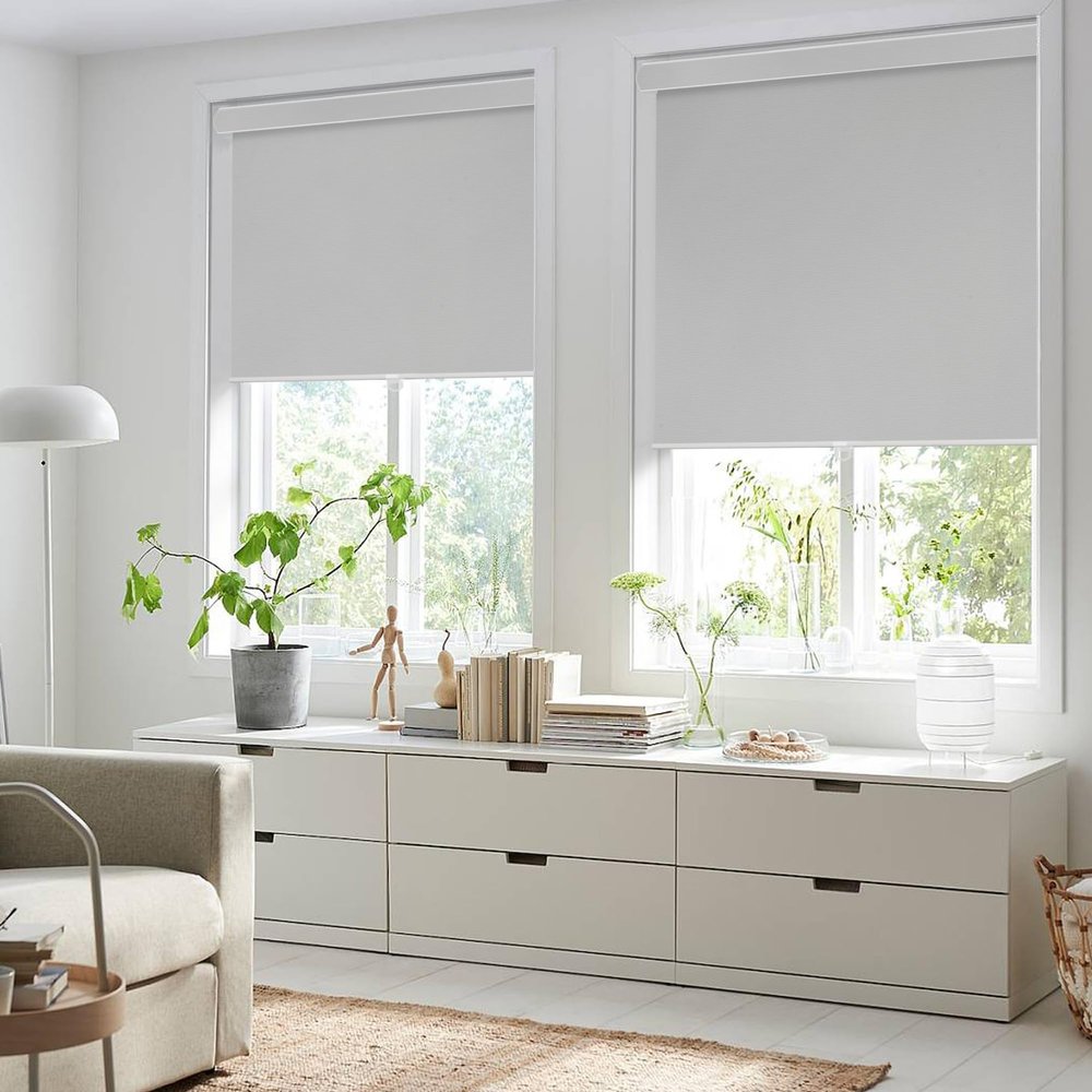 Didoya Blinds for Indoor Windows, Cordless Roller Shades with Casseteet Valance 100% Blackout Thermal Insulation Energy Saving Shades for Home Office Door,Gray 32" W x 48" H