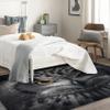 ZDABAOEC Owl Rug, Animal 4x6 Area Rugs, Machine Washable & Non Slip, Owl Patterned Large Rugs for Bedroom Living Room Entryway, Indoor Floor Carpet & Home Decor view 2