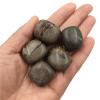 YEAHSO 1pc Natural Dragon Septarian Tumbled Stones Crystal Polished Gemstone Specimen Home Room Decoration Gift view 3