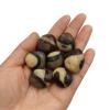 YEAHSO 1pc Natural Dragon Septarian Tumbled Stones Crystal Polished Gemstone Specimen Home Room Decoration Gift view 4