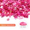 MECCANIXITY 1000g Crushed Shells Irregular Natural Mosaic Sea Shell Fragments for Home Decoration Art Crafts DIY Projects Rose Red view 2