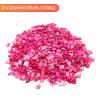 MECCANIXITY 1000g Crushed Shells Irregular Natural Mosaic Sea Shell Fragments for Home Decoration Art Crafts DIY Projects Rose Red view 3