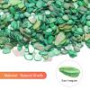 MECCANIXITY 500g Crushed Shells Irregular Natural Mosaic Sea Shell Fragments for Home Decoration Art Crafts DIY Projects Green view 2