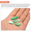 MECCANIXITY 500g Crushed Shells Irregular Natural Mosaic Sea Shell Fragments for Home Decoration Art Crafts DIY Projects Green view 4