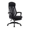 Executive Desk Chair Ergonomic Office Desk Chair, Swivel Mesh PC Chair with Headrest and Arms, Height Adjustable, Comfortable High-Back Executive Chair with Footstool Office Chair (Color : B) view 1