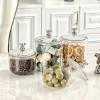 Candy Jars with Airtight Bear Handle, Clear Gallon Jar Apothecary Canisters for Cookie Dry Goods Nuts Cereal Seasoning Tea Leaf Container Storage 900/1400ml S view 4