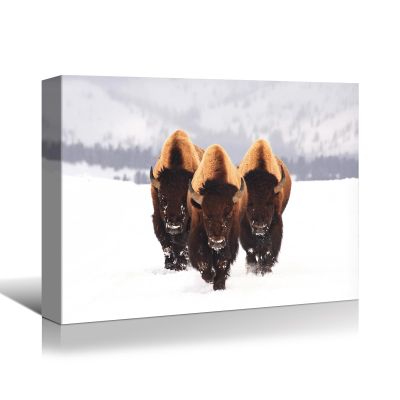 YONICA Winter Bison Canvas Wall Art for Home Decor - Charming Snow Scene with Buffalo Pictures Print On Canvas HD Giclee Artwork Ready to Hang 30"x20"(75x50cm)