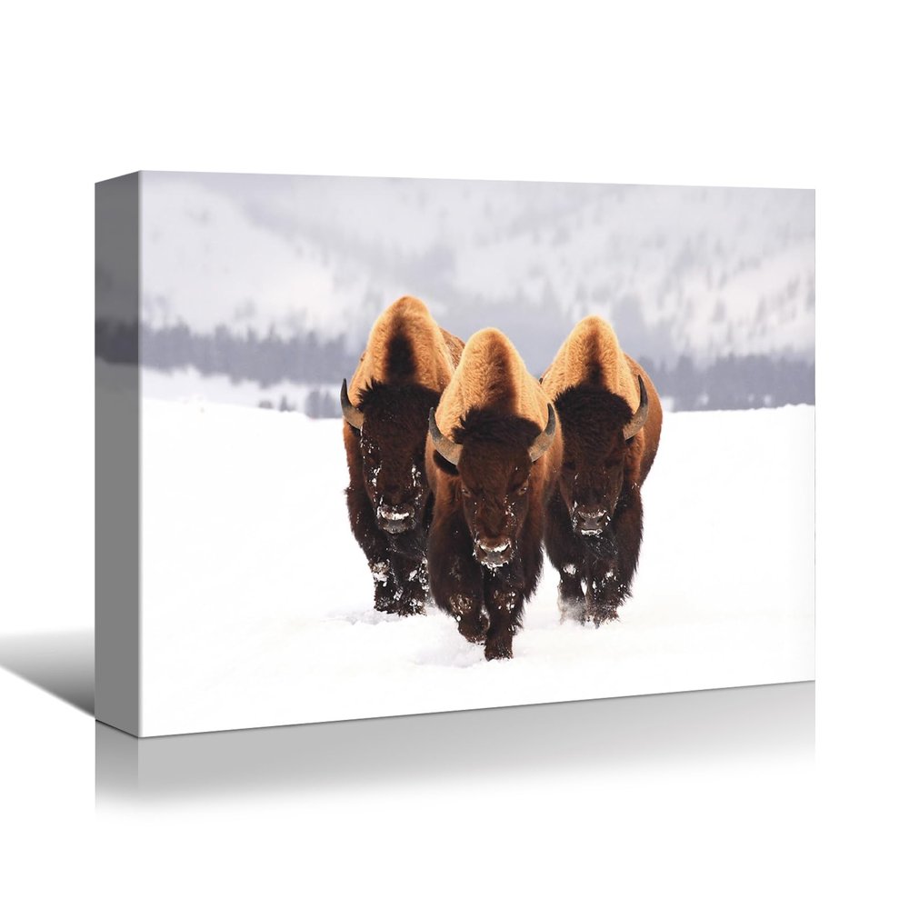 YONICA Winter Bison Canvas Wall Art for Home Decor - Charming Snow Scene with Buffalo Pictures Print On Canvas HD Giclee Artwork Ready to Hang 30"x20"(75x50cm)