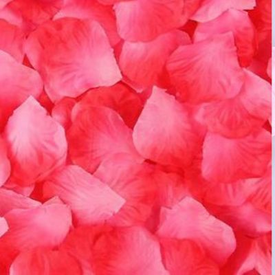 Artificial 1000pcs Red Silk Rose Petals for Party and Event Decoration, Fake Petals of Silk for Valentines and Wedding Parties Decoration (Red, 1000pcs)