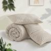 Andency Oatmeal Queen Comforter Set, Lightweight Fluffy Boho Bedding Comforter Set, 3 Pieces Tufted Farmhouse Shabby Chic Bed Set for All Seasons (1 Comforter 90x90In, 2 Pillowcases) view 3