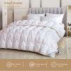 ZTGL New White Goose Feather & Down Duvet Queen/King Size - 100% Cotton Anti-Down Proof Cover - 900 Fill Power - All Year Round Warmth Luxury Double Quilt Bed Comforter,Blue a,180x220cm/2.5kg view 2