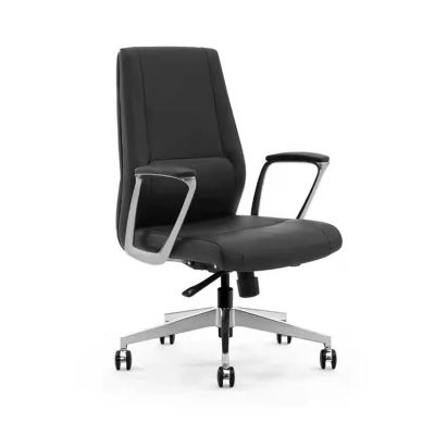 WAOCEO Office Chair Fashion Office Furniture Office Chair Luxury Modern Study Chair Luxury Swivel Chair Office Liftable Chair Desk Chairs (Color : Black)