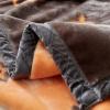 Ralsko Korean Mink Blanket Heavy Fleece Blanket Korean 2 Ply Blanket Cartoon Soft Warm Thick Plush Fleece Raschel Bed Blanket for Autumn,Winter,Bed,Home,Gifts,A,150CM x 200CM view 4