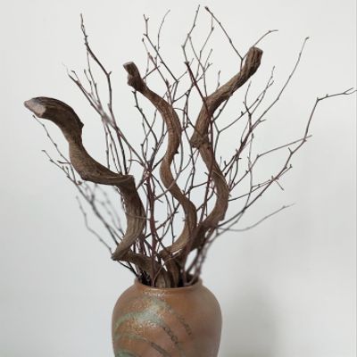 Dried Thick Curly Willow Branches Rattan Trunk Flexible Vines, 17-22 inch Long Curly Wood Sticks with Birch Branches Twigs for DIY Crafts Wedding Garden Xmas Decoration (A-Birch Twigs)