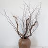 Dried Thick Curly Willow Branches Rattan Trunk Flexible Vines, 17-22 inch Long Curly Wood Sticks with Birch Branches Twigs for DIY Crafts Wedding Garden Xmas Decoration (A-Birch Twigs) view 2
