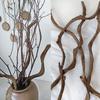 Dried Thick Curly Willow Branches Rattan Trunk Flexible Vines, 17-22 inch Long Curly Wood Sticks with Birch Branches Twigs for DIY Crafts Wedding Garden Xmas Decoration (A-Birch Twigs) view 3