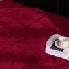 LMXSHJI Fitted Sheet Quilted Layer Crystal Velvet Fabric Mattress Protector Cover Elastic Band Fixation Single Double Toppers Deep up to 30cm (Color : Red, Size : 39"x78.7"+4"/100x200cm+10cm) view 4