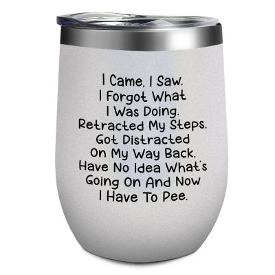 Adimidy Tumbler I Came I Saw I Forgot What I Was Doing Tumbler Insulated for Hot and Cold Tumbler with Lids and Straws funny Gift for Aunt for Office