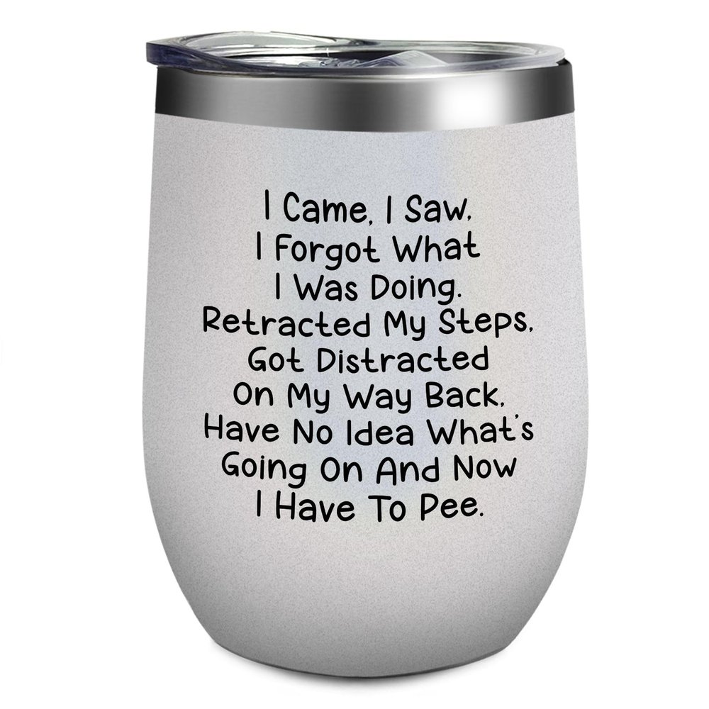 Adimidy Tumbler I Came I Saw I Forgot What I Was Doing Tumbler Insulated for Hot and Cold Tumbler with Lids and Straws funny Gift for Aunt for Office