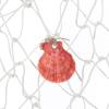 PATIKIL Fishing Net Decor, 80" x 40" Mediterranean Style Photographing Decoration Natural Fish Net Party Accessory with Sea Shells for Home Bedroom, Creamy White view 4