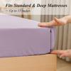 Twin XL Fitted Sheet Only - Premium 1800 Super Soft & Cozy Microfiber, Wrinkle, Fade, Shrinkage Resistant Deep Pocket Twin XL Size Fitted Bottom Sheet, Lavender view 3