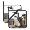 African Penguin Print Pot Holders Set of 2 Kitchen Heat Resistant Hot Pads with Pocket Waterproof Potholder for Cooking Baking Oven BBQ Housewarming Gift view 1