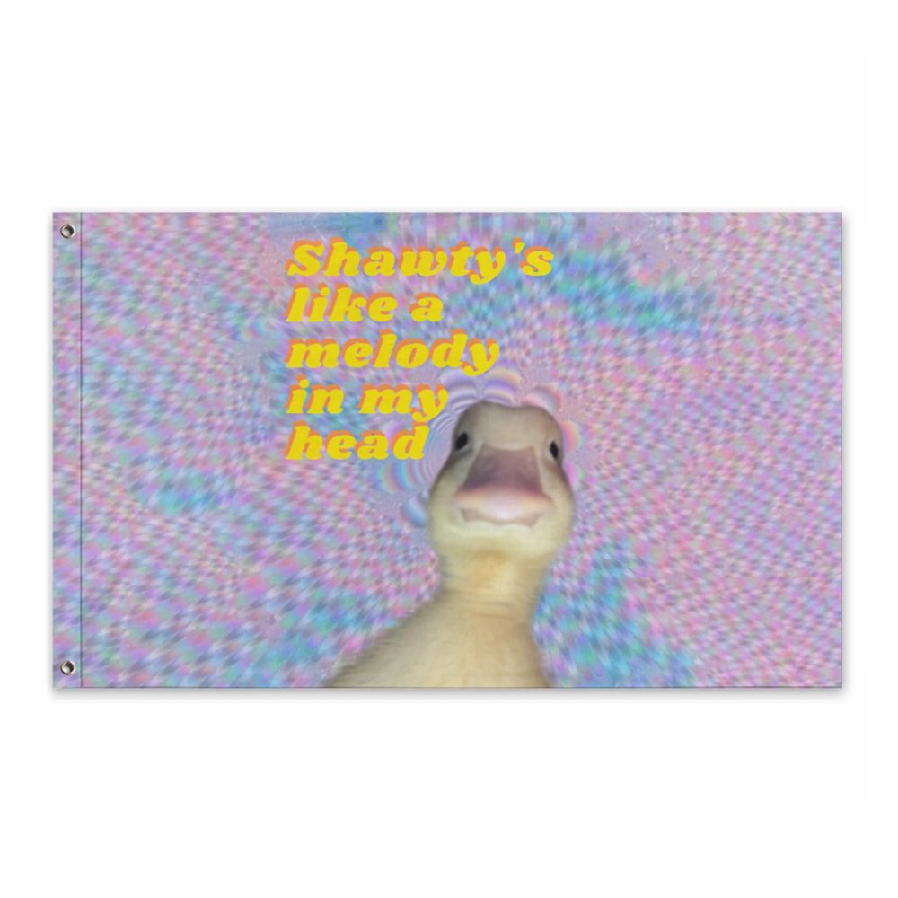 Conank Funny Music Duck Meme Flag Fun Goose Tapestries Poster Wall Decor Garden Yard Banners for College Dorm Bedroom 5x3Ft with 2 Brass Grommets Party Supplies