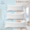 East Coast Bedding Down No Feather Blend 20x72 Inch Body Pillow: Embrace Blissful Sleep with Premium Duck Down No Feather Softness and Support view 3