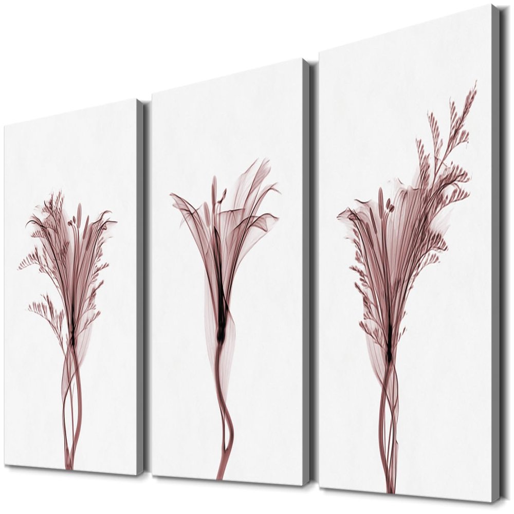 3 Pieces Flower Wall Art Flower Pictures Wall Decor X-RAY Plant Decor Flower Poster Plant Wall Art Lily Wall Art Flower Room Decor Flower Canvas Wall Art Plant Art for Room Decor (12''Wx16''Hx3PCS)