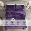 HUMESIIL Luxury Velvet Queen Comforter Set, 3 Pieces Reversible Comforters Queen Size with 2 Pillow Shams, Brushed Solid Microfiber Back, All Season Cozy, Soft, Warm, Lightweight (Purple90x90 Inch) view 3