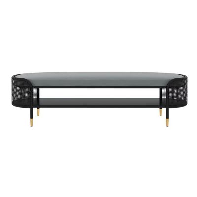 Entryway Shoe Bench with Storage, 2 Tier Shoe Rack Velvet Upholstered Shoe Organizer Shelf, Modern Bed End of Bench for Living Room Bedroom Hallway(80x43x45cm(31x17x18inch), Black)