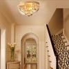 SteFik Industrial Semi Flush Mount Ceiling Light,Antique Clear Crystal Hallway Light Fixtures Farmhouse Ceiling Lamp Compatible with Hallway Corridor Kitchen Bedroom Passway,Pendant view 3