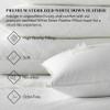 A1 HOME COLLECTIONS A1HC Throw Pillow Insert Down Feather Filled, (Pack of 1) - 20x20 Inches Bed and Couch Pillows - Indoor Decorative Pillows for Sofa, Couch, Bed, Machine Washable view 4
