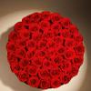 Prifroti 47 Flowers in a Luxury Suede Box, Birthday Gifts for Women, Preserved Flowers, Mothers Day Roses Gift for Mom, Red view 3