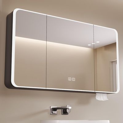 DELURA Lighted Medicine Cabinet for Bathroom - Front Lit & Backlit LED Medicine Cabinet with Lights, Anti Fog/Waterproof/Dimmable(Gray)