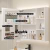 DELURA LED Lighted Bathroom Medicine Cabinet, Defogger, Dimmable, Easy to Install, Wall Mounted Mirror Cabinet (Color : Gray, Size : 60x13x68cm/24x5x26.8in) view 4