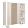 DELURA LED Lighted Bathroom Medicine Cabinet, Defogger, Dimmable, Easy to Install, Wall Mounted Mirror Cabinet (Color : White, Size : 50x13x68cm/20x5x26.8in) view 1