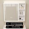 DELURA LED Lighted Bathroom Medicine Cabinet, Defogger, Dimmable, Easy to Install, Wall Mounted Mirror Cabinet (Color : White, Size : 50x13x68cm/20x5x26.8in) view 3