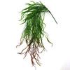Ddewing Simulation Plant Wall Hanging Artificial Plants Wall Hanging Fake Flower Rattan Vine Simulation Hanging Orchid for Wedding Restaurant Air (Green) view 2