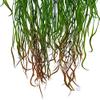 Ddewing Simulation Plant Wall Hanging Artificial Plants Wall Hanging Fake Flower Rattan Vine Simulation Hanging Orchid for Wedding Restaurant Air (Green) view 3