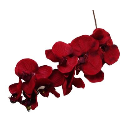 HXSCOO 10Heads Big Artificial Orchid Flowers European Retro Style Moth Butterfly Orchids Home Wedding Party Decoration Fake Silk Flores (Color : Large)