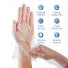 DealbyBox 1000pcs Plastic Food Safe Gloves, Disposable Gloves for Restaurant Cooking, Food Handling, Serving, Prep,Baking. (Small) view 3