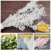10 Pieces Dried White Italian Ruscus Eucalyptus - Real Preserved Ruscus Stem Branches, Real White Dried Floral Plant Pampas Green Leaves Bundle for Boho Wedding Party, Home Decor, Vase Filler view 2