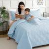 Whale Flotilla Quilt Set Oversized California King Size, 3-Piece Soft Lightweight Cal King Quilt Bedding Set Bedspread Coverlet for All Seasons, Light Blue view 3
