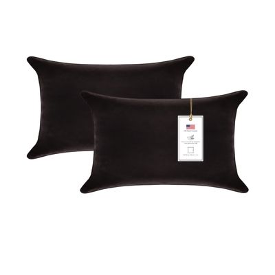 A1 Home Collections A1HC Throw Pillows, Down Alternative Filled Ready to Use Decorative Throw Pillows, Pack of 2, Smoky Black - 12"x20"