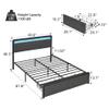 coucheta Queen Size Bed Frame with 2 Storage Drawers, LED Queen Platform Upholstered Bed Frame with Headboard, Mattress Foundation with Steel Slats Support, No Box Spring Needed view 2