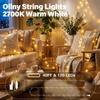 Ollny 120LED 40FT String Lights Connectable Christmas Lights Indoor Outdoor view 2